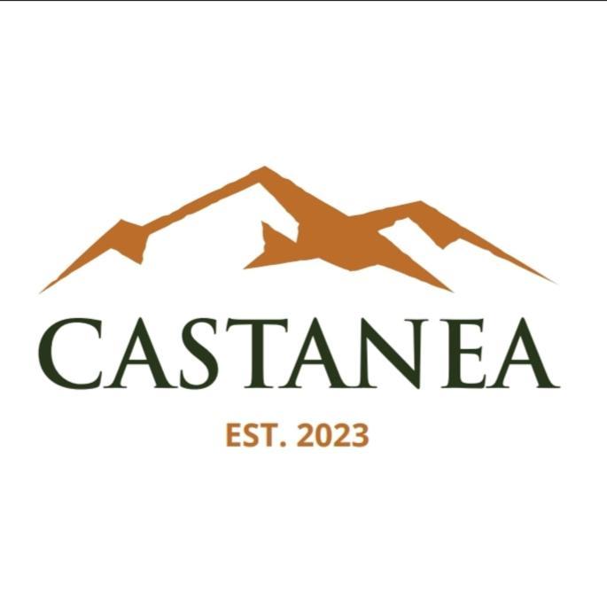 Vikendica Castanea Banja Zdrelo Villa Petrovac na Mlavi Eksteriør bilde